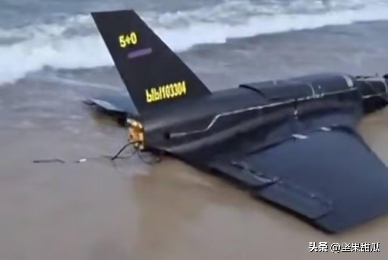 波兰人很明智。一架坠毁的无人机落海后，被冲上波兰海岸，经查明其身份不明（波兰方面
