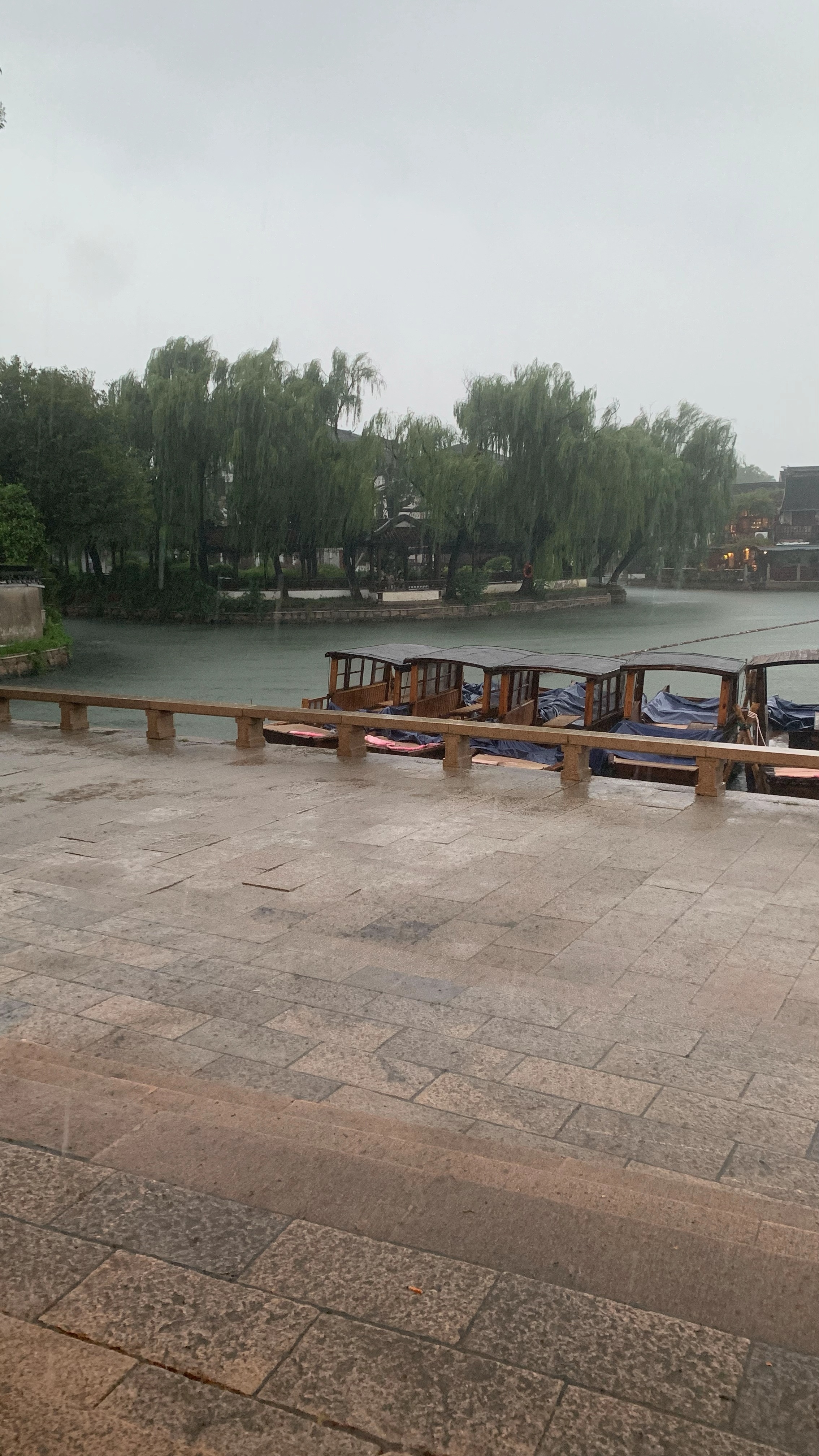 昆山你阿帕次我浑身都淋湿了 成毅快点来给我怀抱