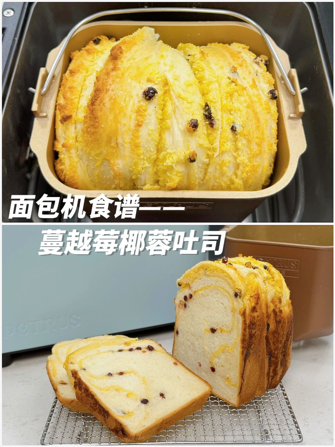 松软香甜‼️面包机蔓越莓椰蓉吐司🍞一次发酵