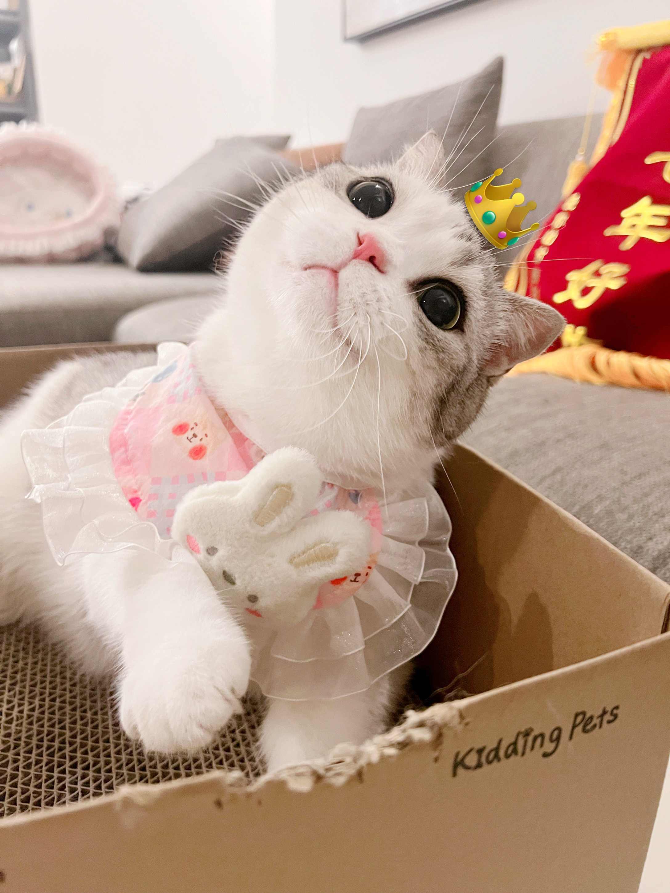 泡芙宝宝生日快乐！七岁的小宝宝啦[抱一抱] ​​​