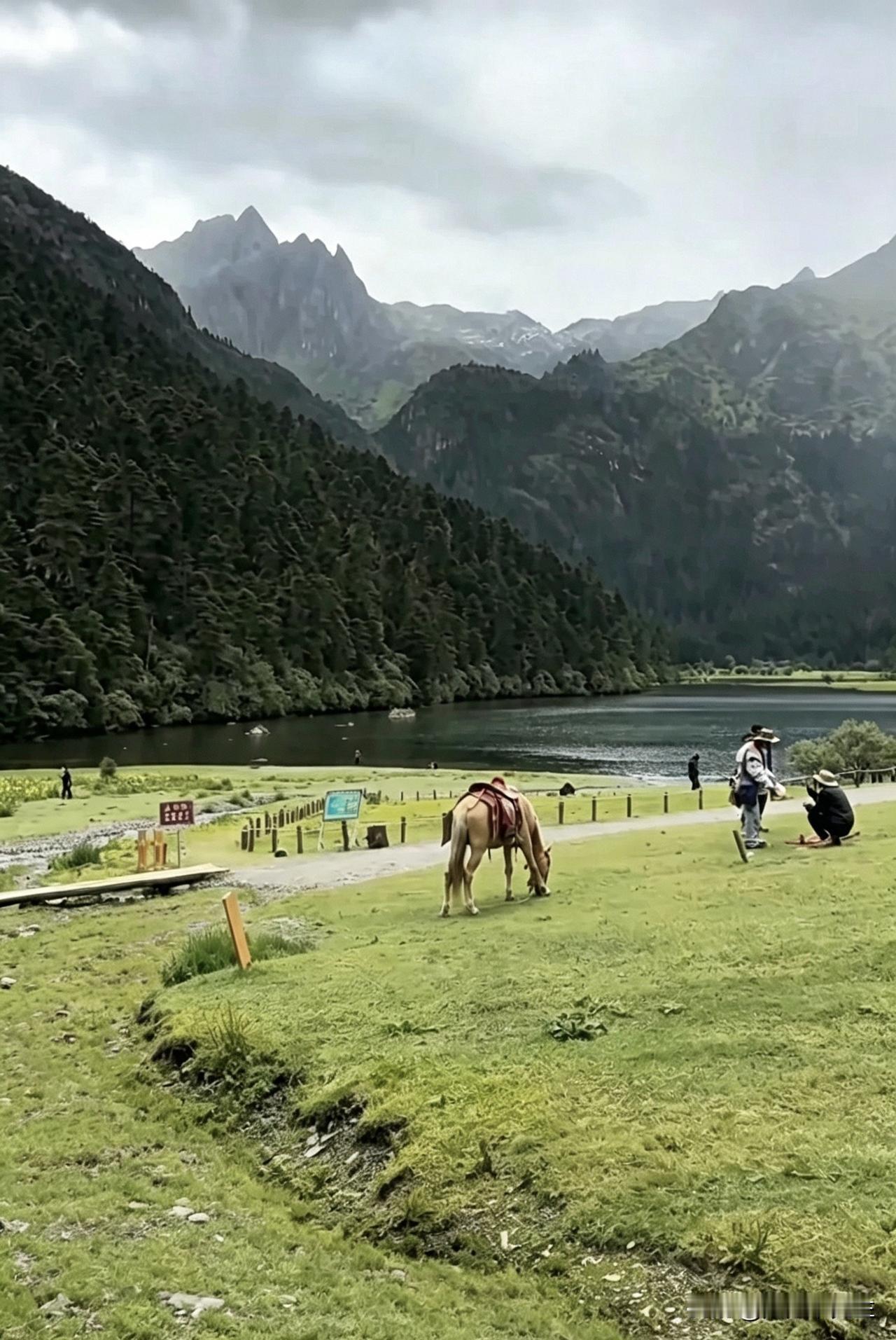 群山环抱一汪静水，青草地上马儿安然低头吃草，时光在这里放慢脚步，所有喧嚣都被远山