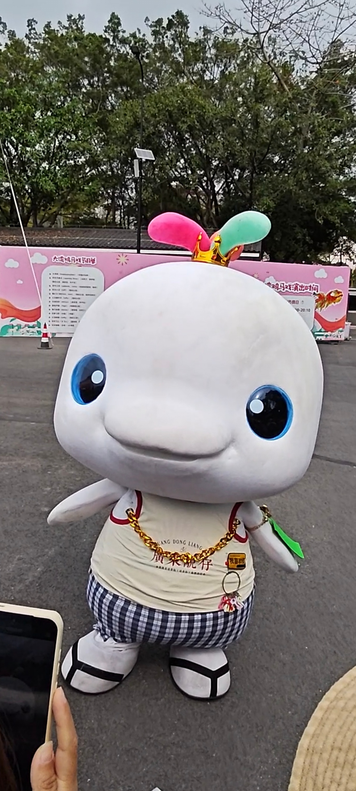 嘉年华小鸡（截自我自己的视频） 