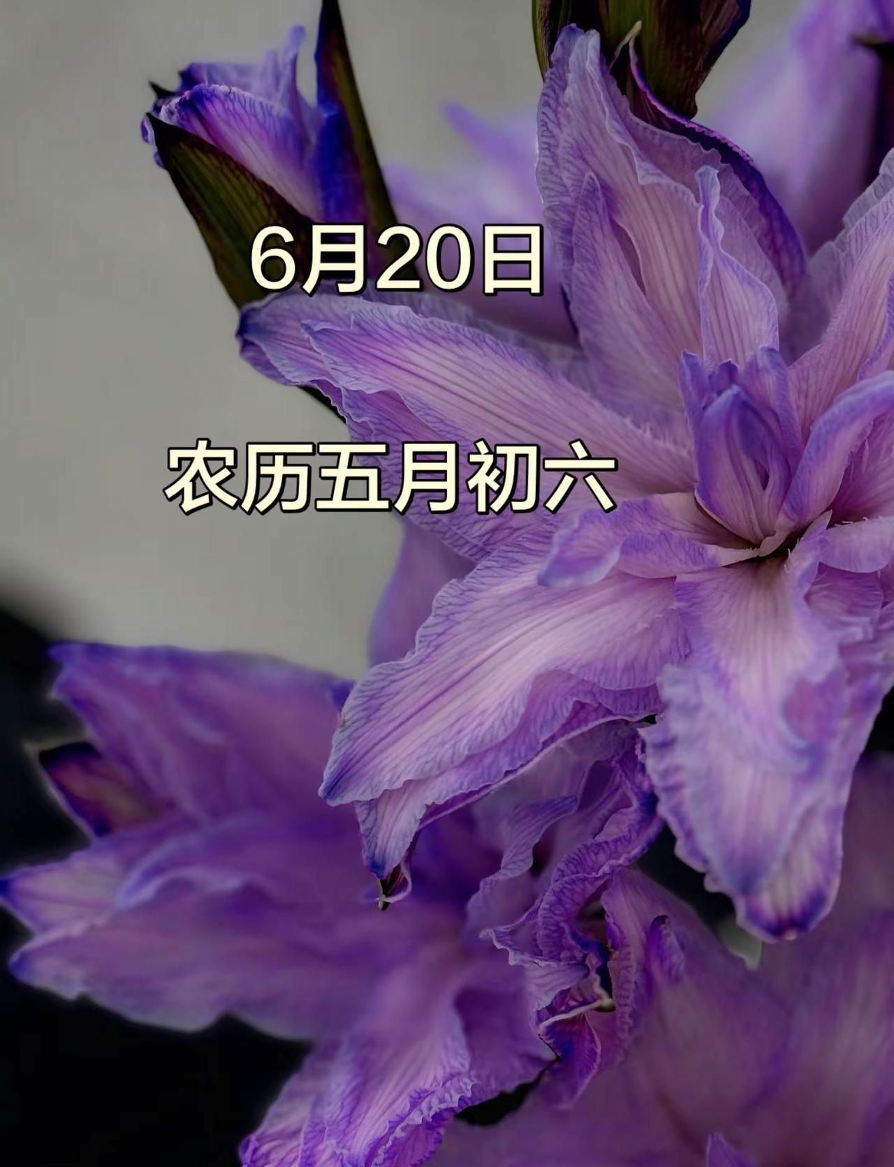 2026斯诺克世锦赛第二轮，赵心童和丁俊晖对轰的时候，突然打出一杆超精彩的长台本