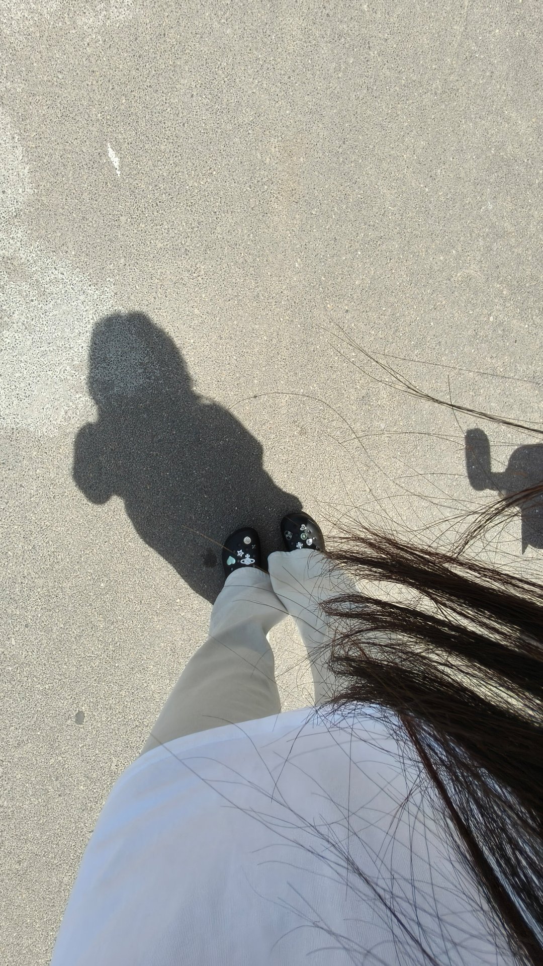 最近那些🌇☀️🐦 