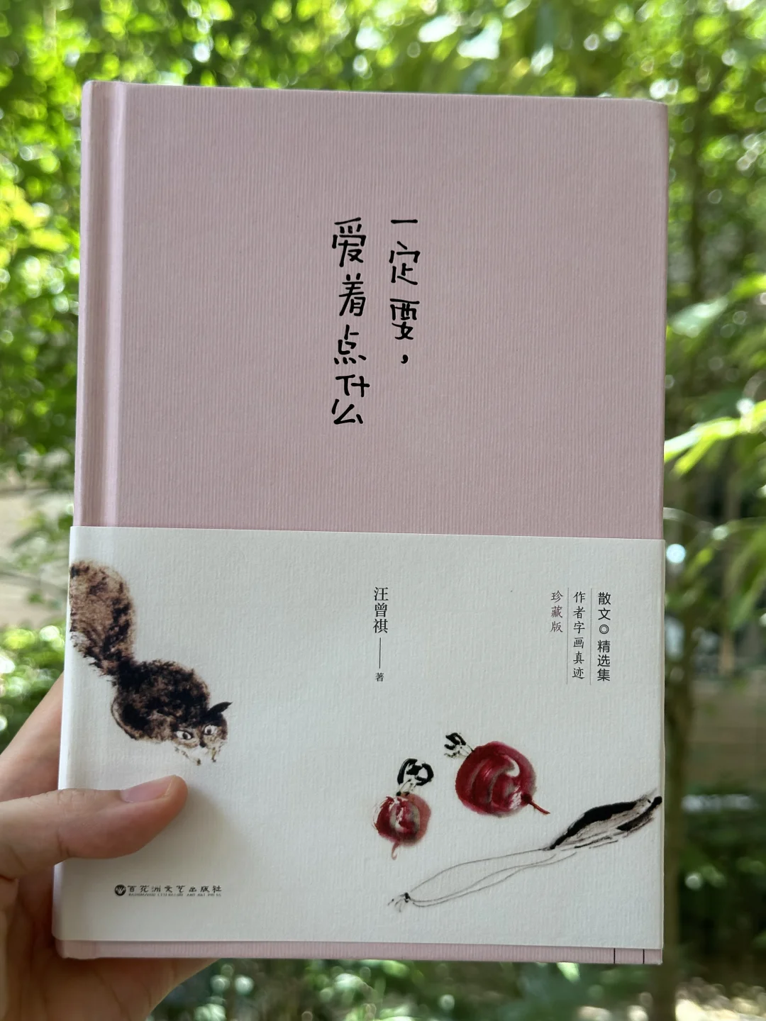 这本书真的太治愈了！🌸一定要，爱着点什么