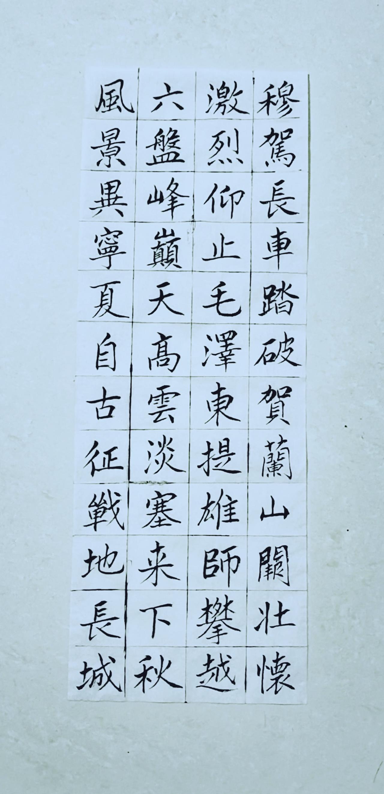 第八十三天《宁夏赋》（6）正楷毛笔练习