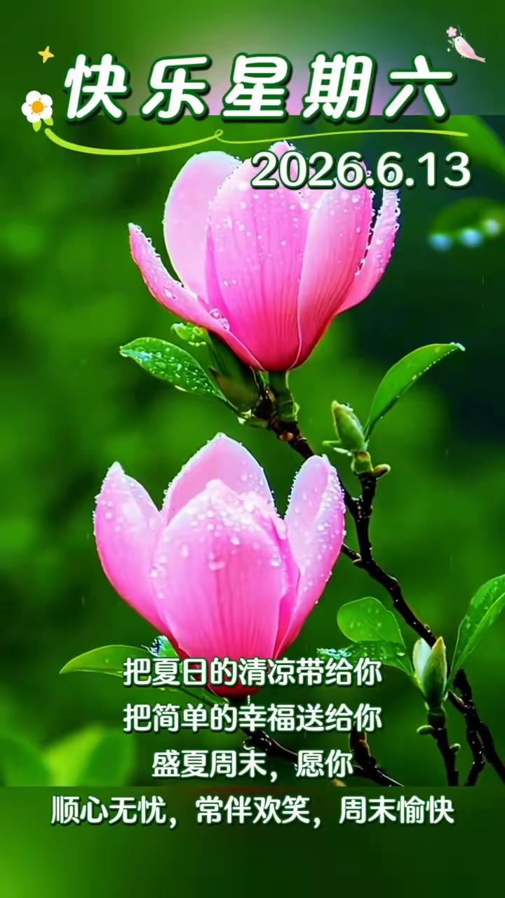 不知不觉间，又到了周六
跟工作拜拜，来睡个好觉
和疲惫再见，向轻松投靠
把营养跟