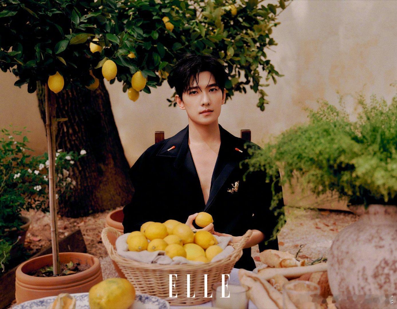 杨洋ELLE6月刊大片🈶，恭喜杨洋第四次登封ELLE，双封面出镜，还得是杨洋，
