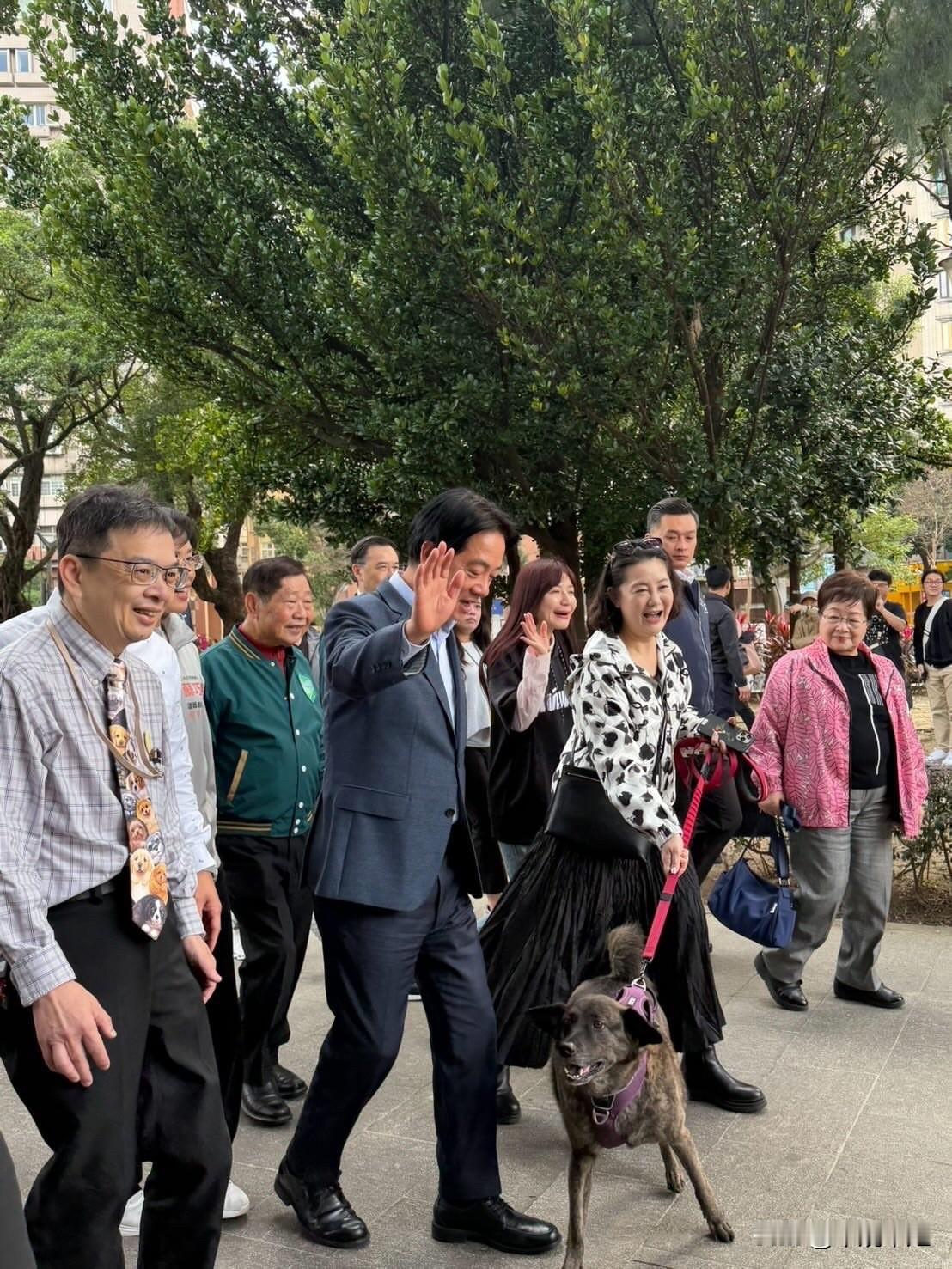 民进党立委吴思瑶，昨天（18日）深夜在脸书发文说：“今天好棒棒，牵了一狗替我们领