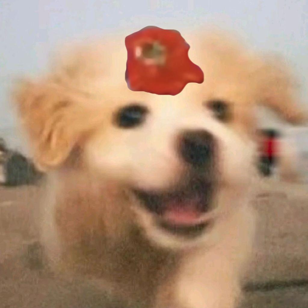 分享图片 