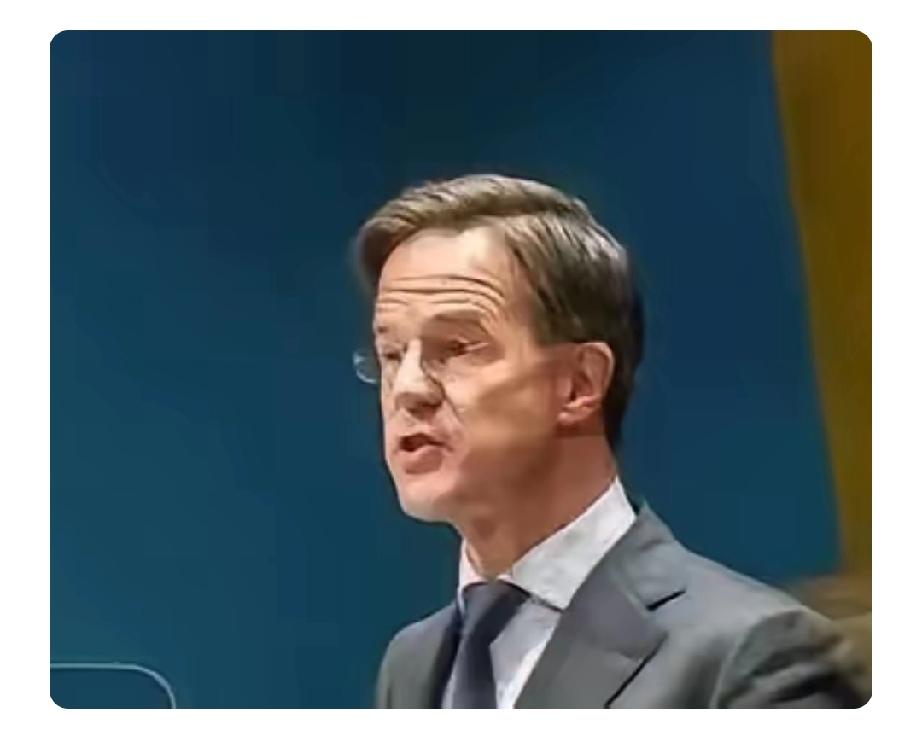 荷兰这波操作真的太恶心了！2026年3月，荷兰某企业总部毫无征兆地远程禁用中国区