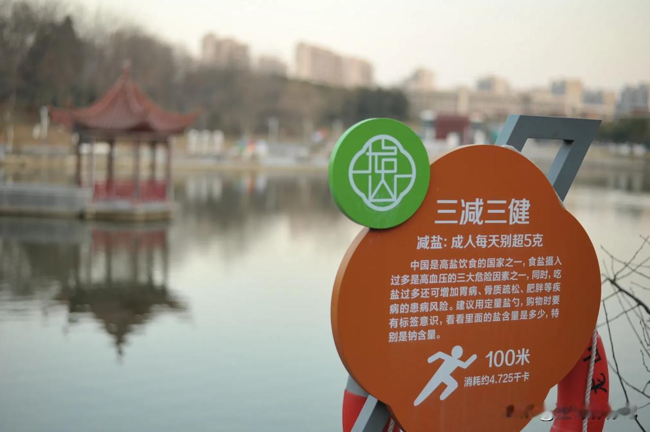 记录我的2025三健三减身体健康。宝哥摄记 摄以记之