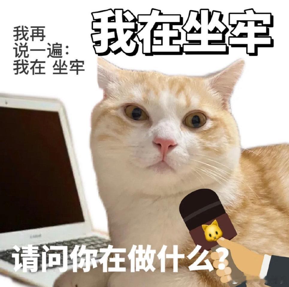 咪又出差捏[开学季]这两天咧咧看情况[开学季] ​​​