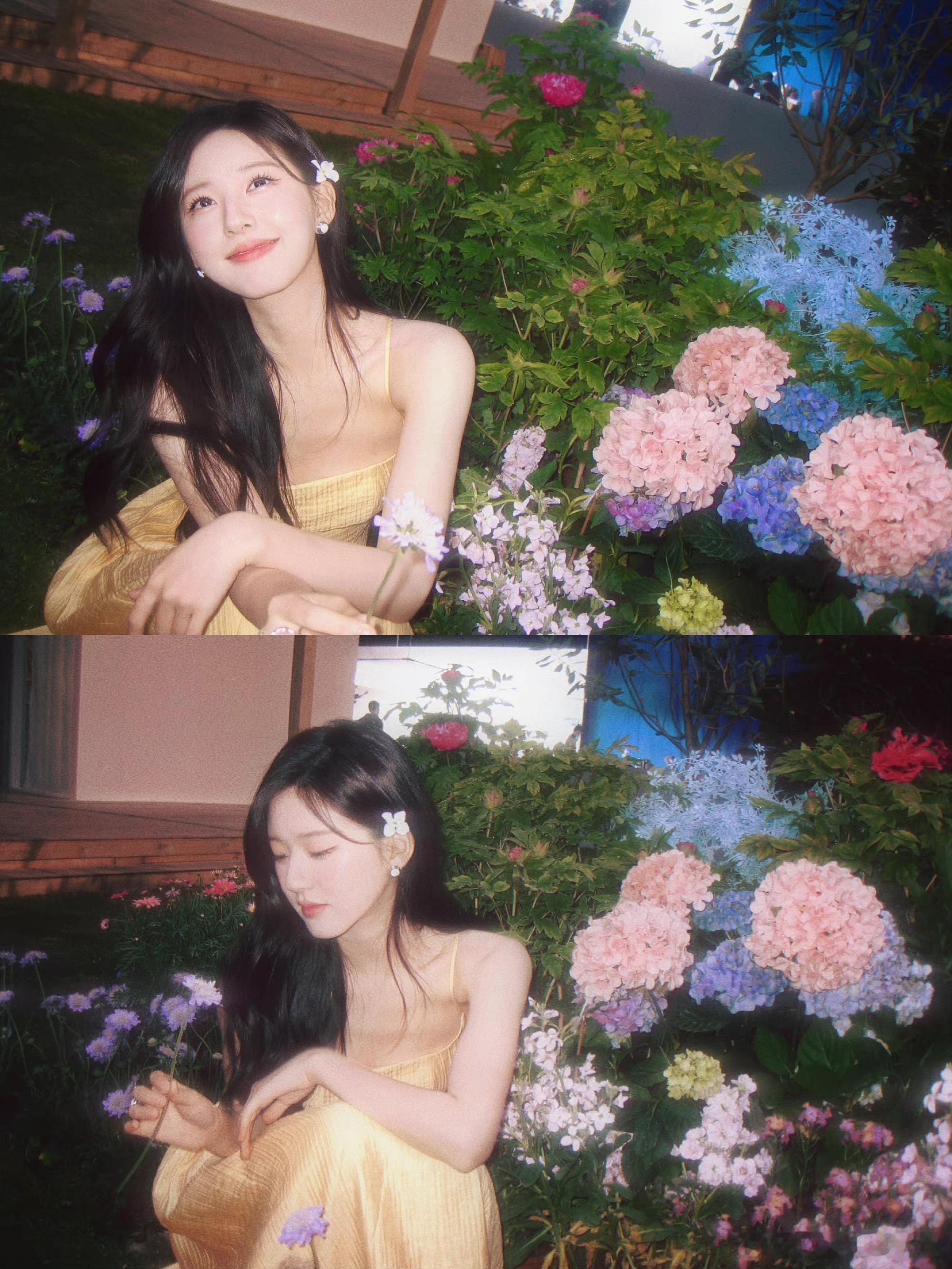 祝我们永远自由明媚💐赵露思