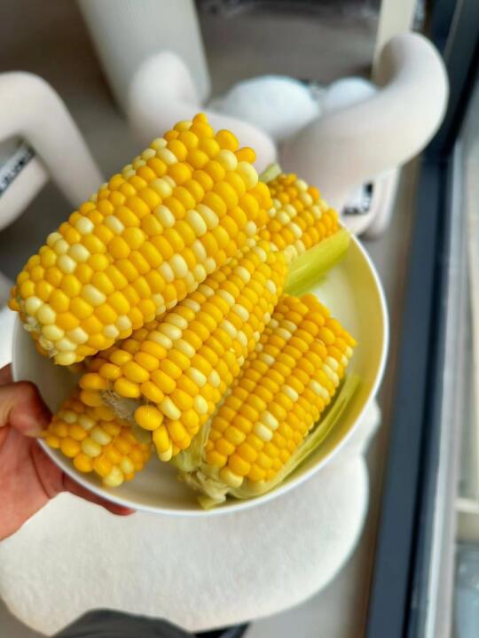 春天的第一口玉米🌽必须给云南