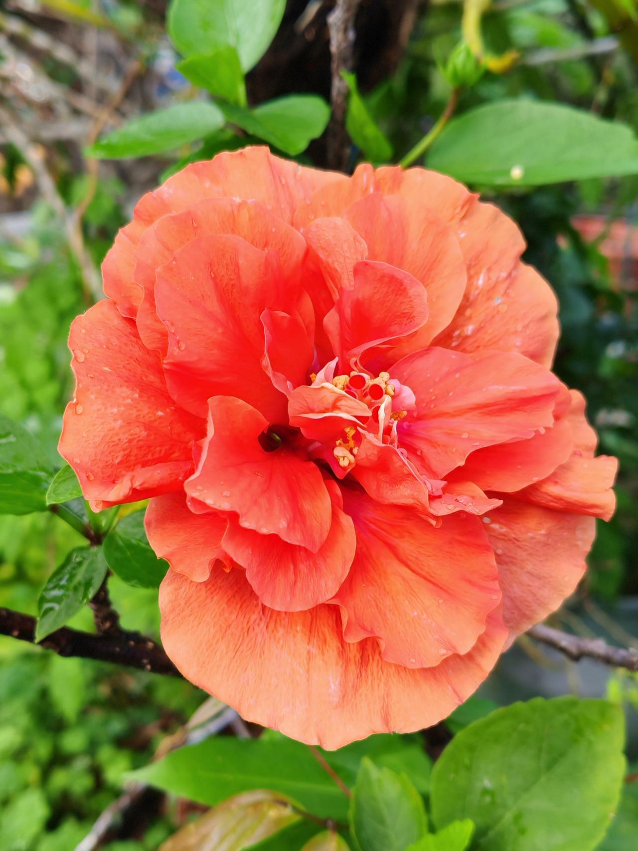 不得不说，老师与老师，在教学经验、能力、方法、责任心等方面还是有差别的。优资教师