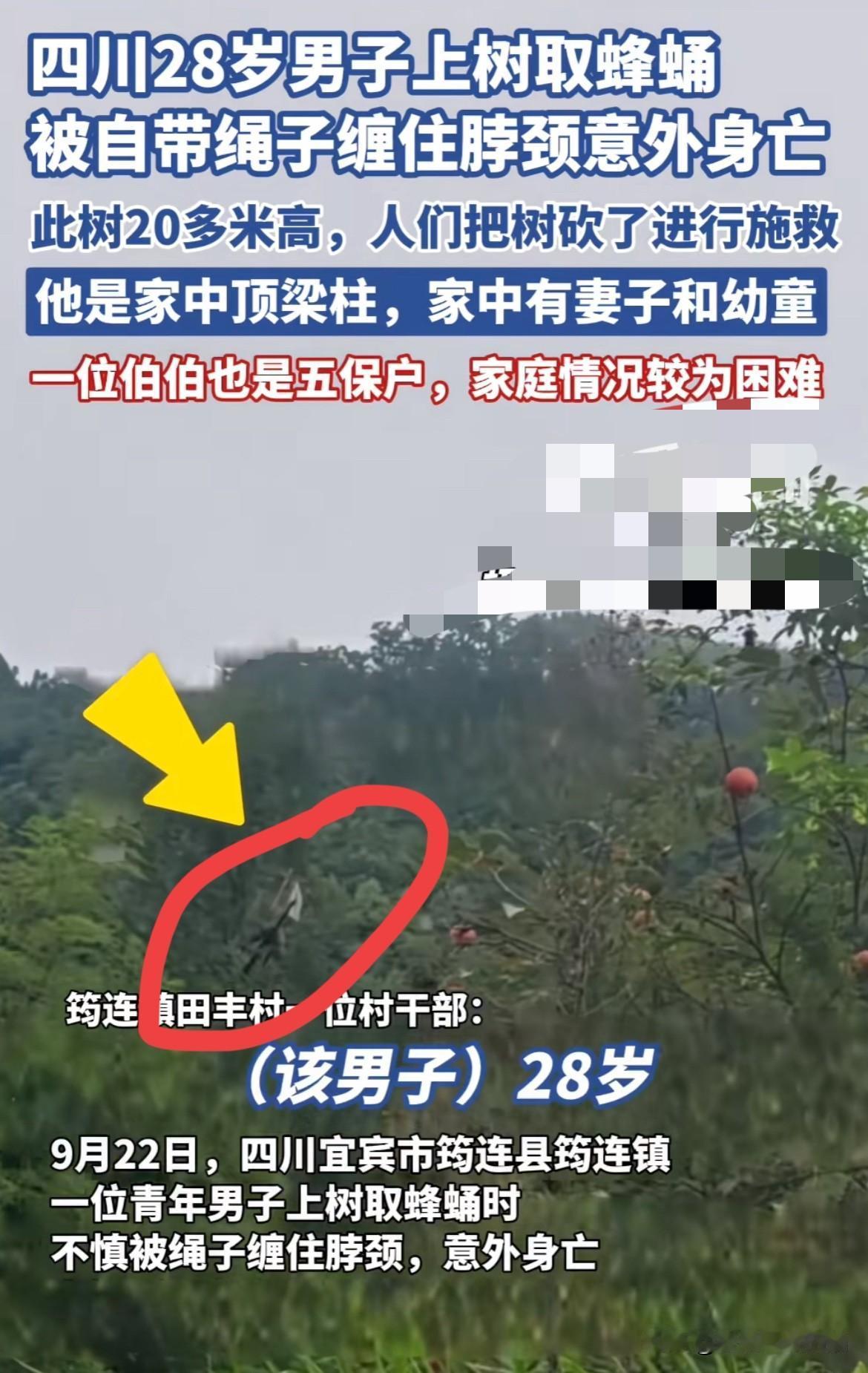 【四川28岁男子上树取蜂蛹，被自带绳子缠住脖颈意外身亡】

麻绳专挑细处断，厄运