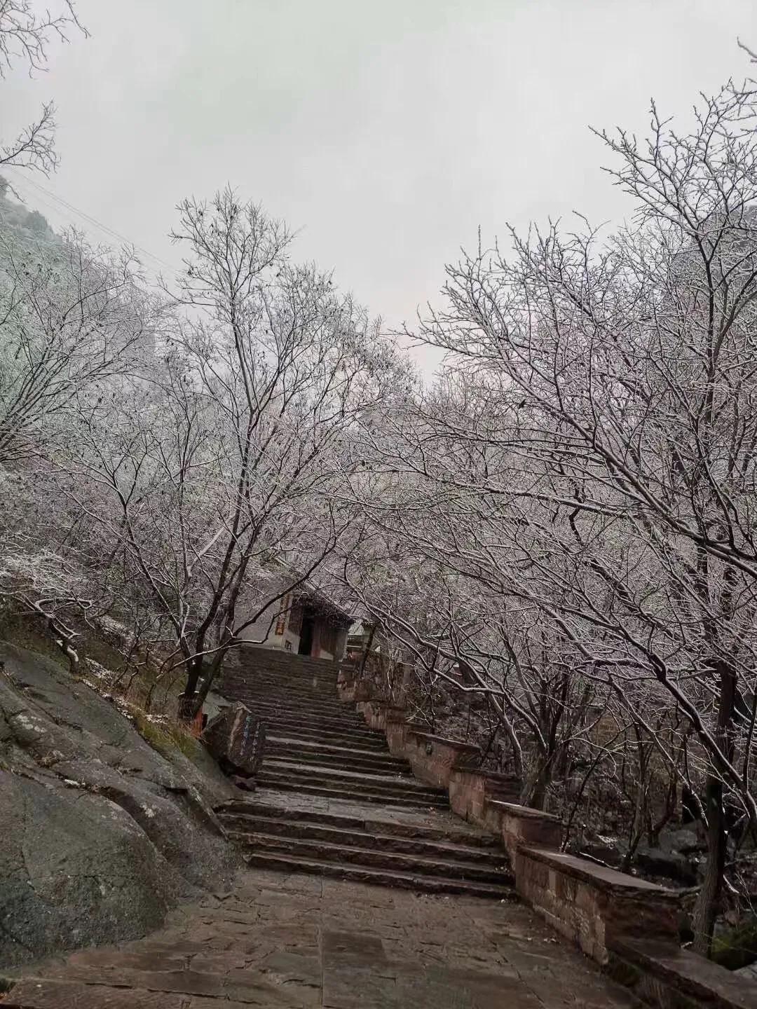 说得太好了[玫瑰]每个人确实都有属于自己的独特生活，有自己的活法，无需模仿他人。