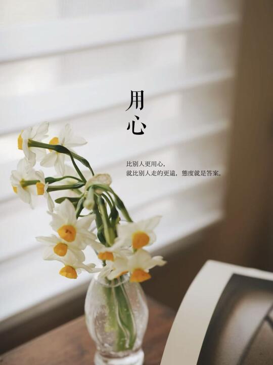 36岁，我在无数个选择里找回自己