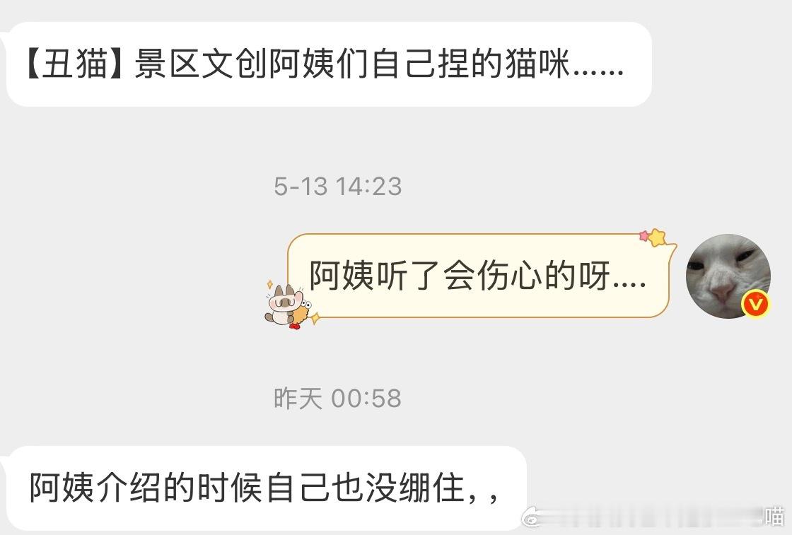 49847【丑猫】景区文创阿姨们自己捏的猫咪…… 
