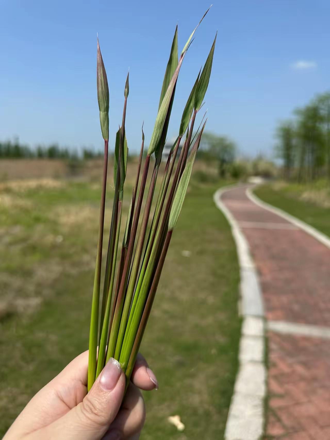 南北交界地带的特产！

认识的进来回答一下，你有多少年没吃过了？

我:超过18