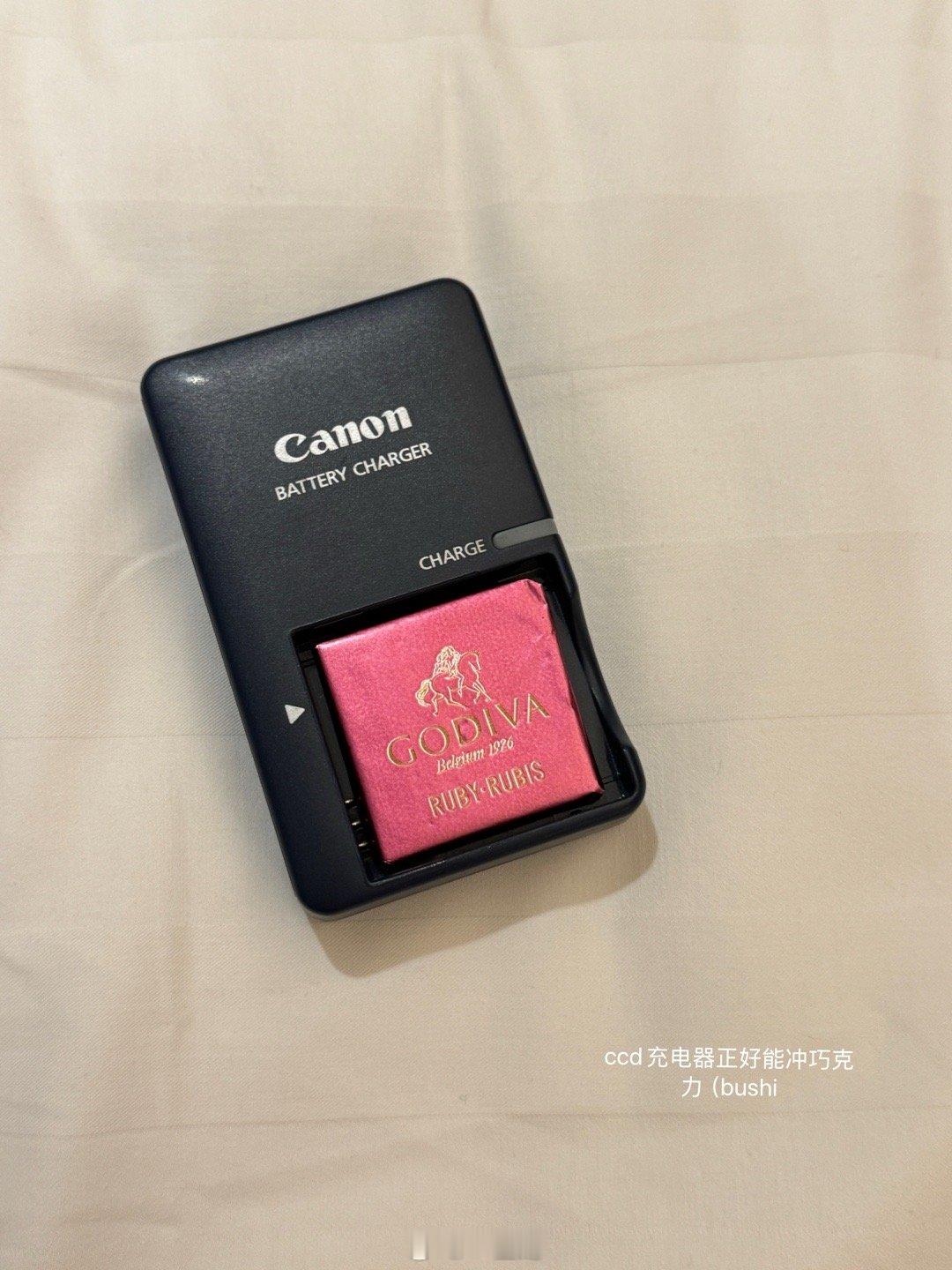 半夜来发点萌图。 ​​​