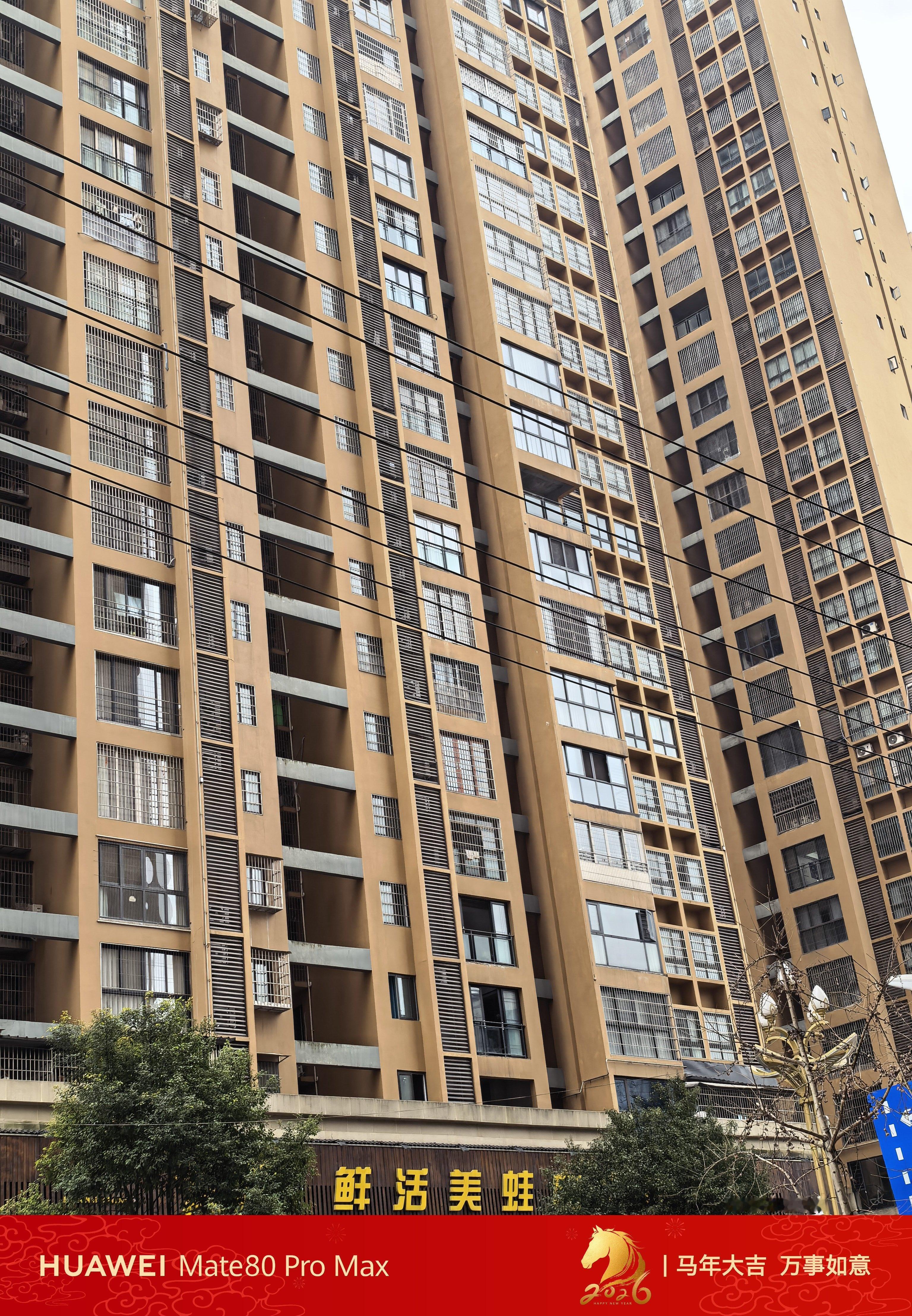 我媳妇这个小县城里很高的这种居民楼为了防盗几乎每家都做了铁栏杆低楼层还能理解高楼