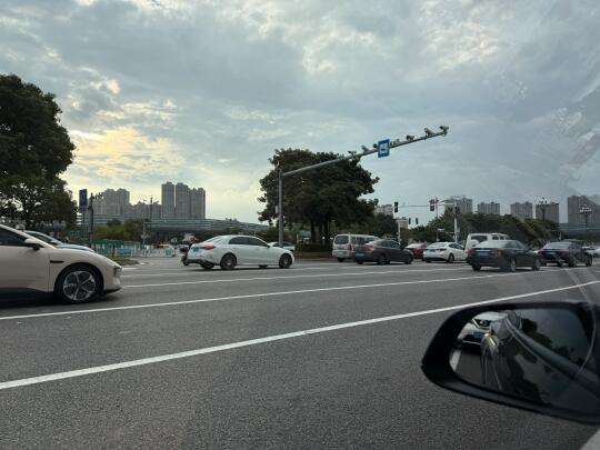 晋江 荣誉红绿灯这里 马路上有只杜宾在跑