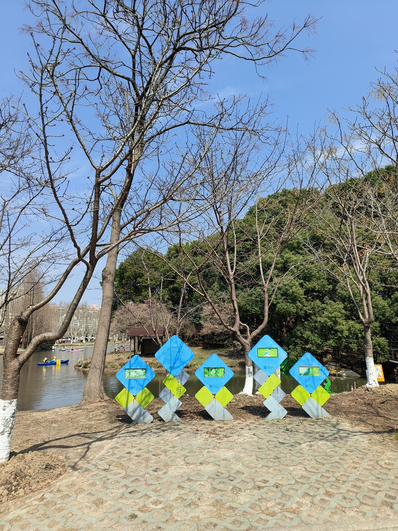 春日美景随手拍实景图分享！

世纪公园徒步随手拍实景图分享!