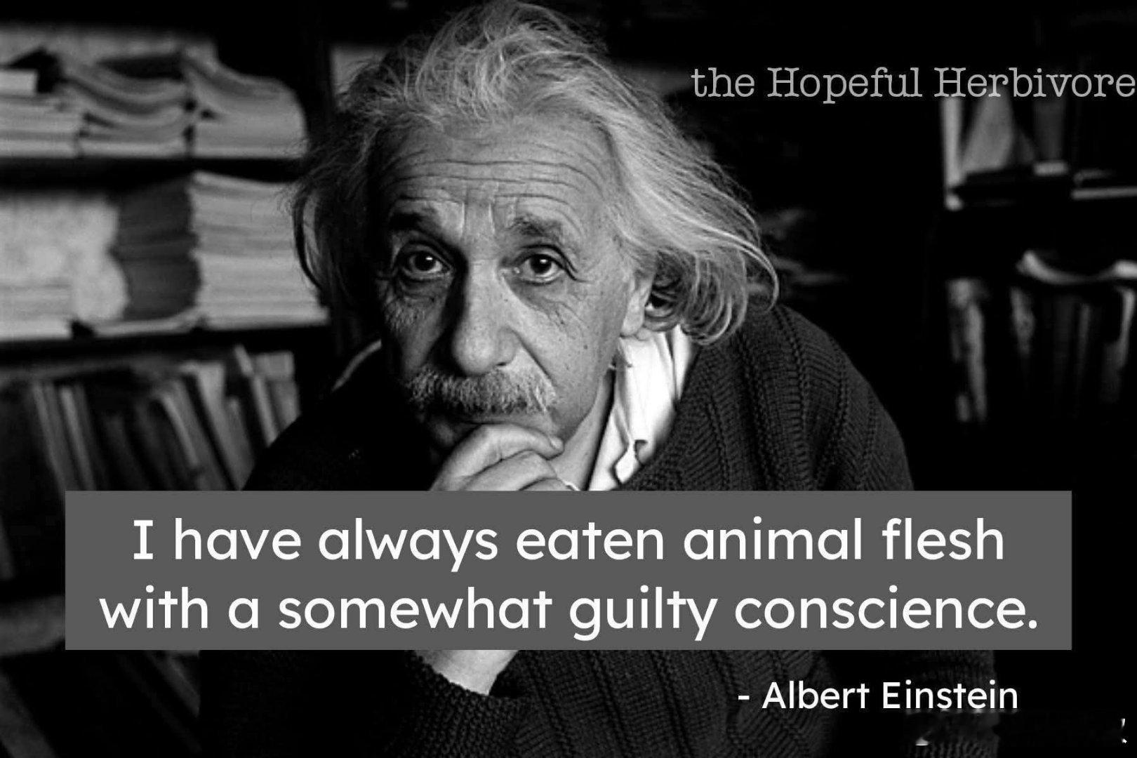 “我一直以来在食用动物的肉时，内心多少都带着一丝愧疚。”—— 这句话出自爱因斯坦