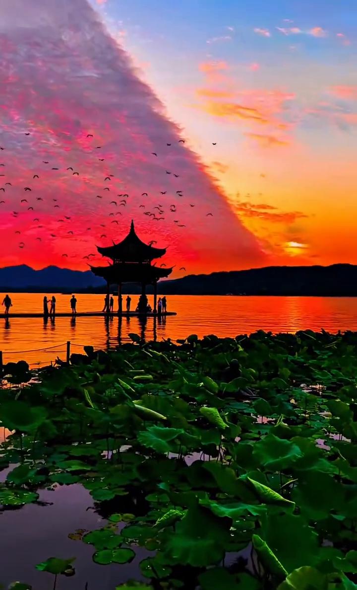 这个天真，我去。