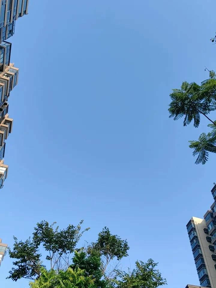 阳光明媚，蔚蓝的天蓝色，真的很有味道，新的一天开始了