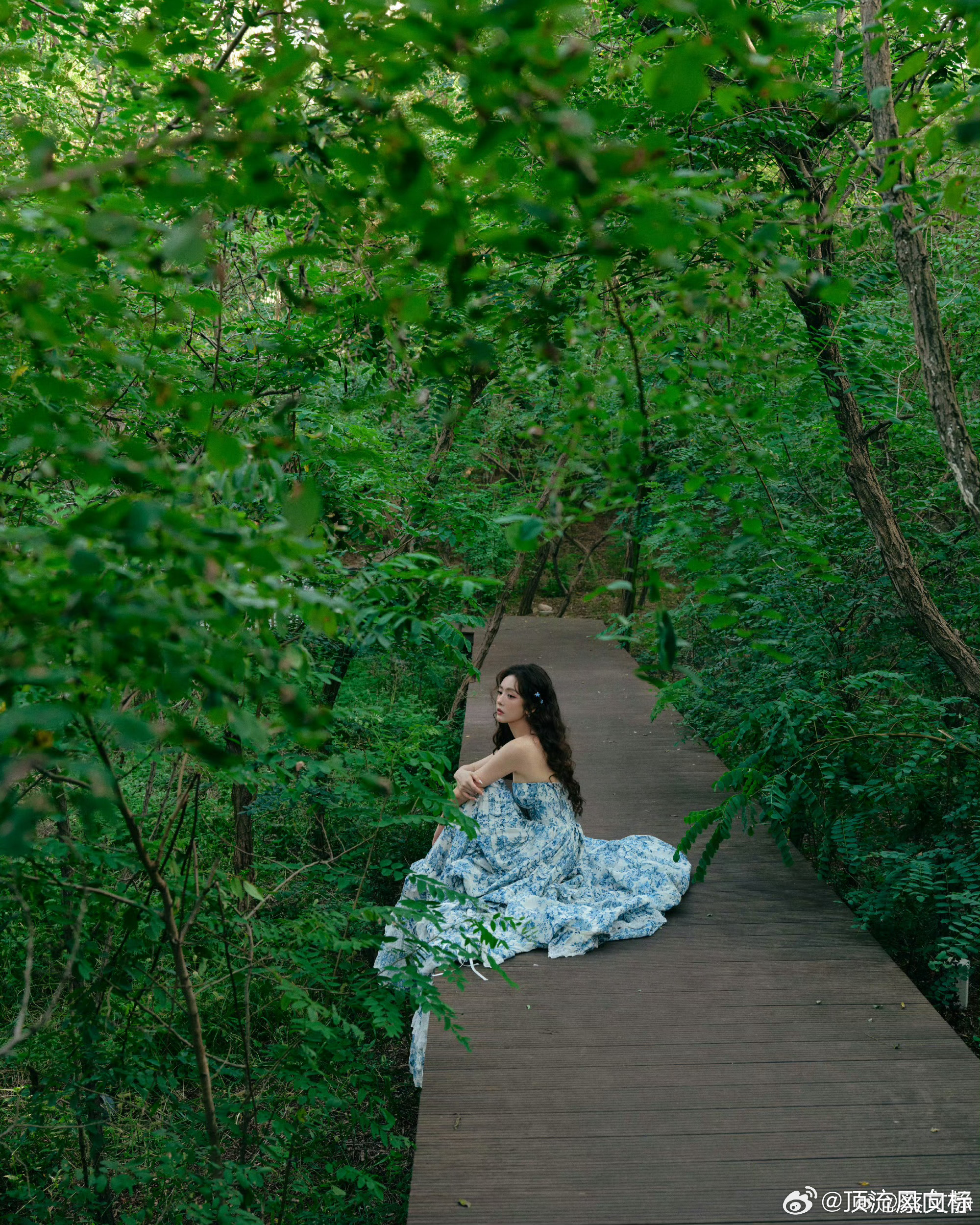 蔡文静青花瓷公主👸🏻 ​​​
