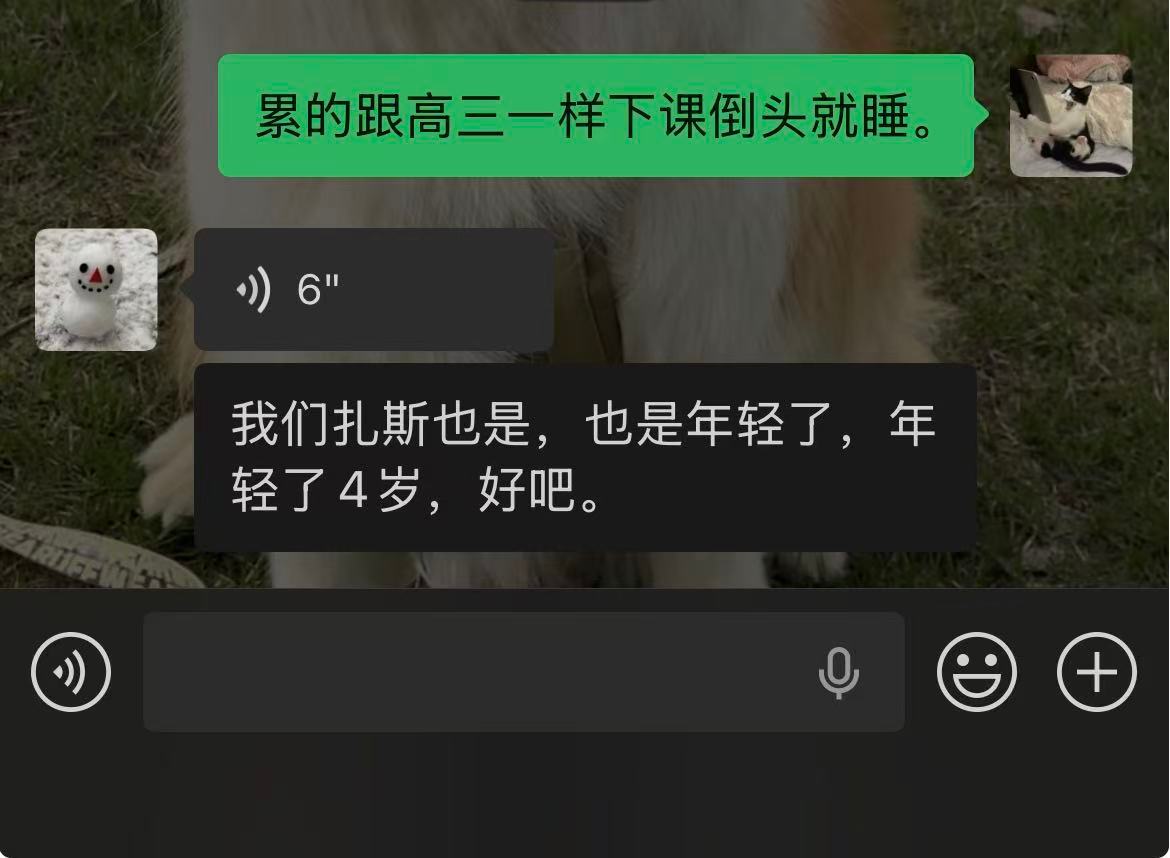 下大雪好累啊