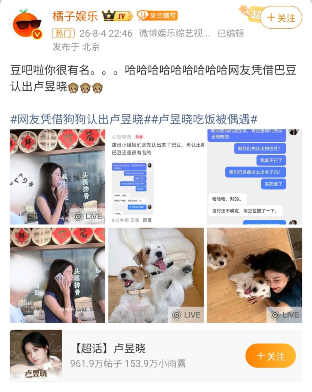 网友凭狗狗认出卢昱晓巴豆不仅频繁出现在她的日常和剧组路透里，人气都快赶超主人了。