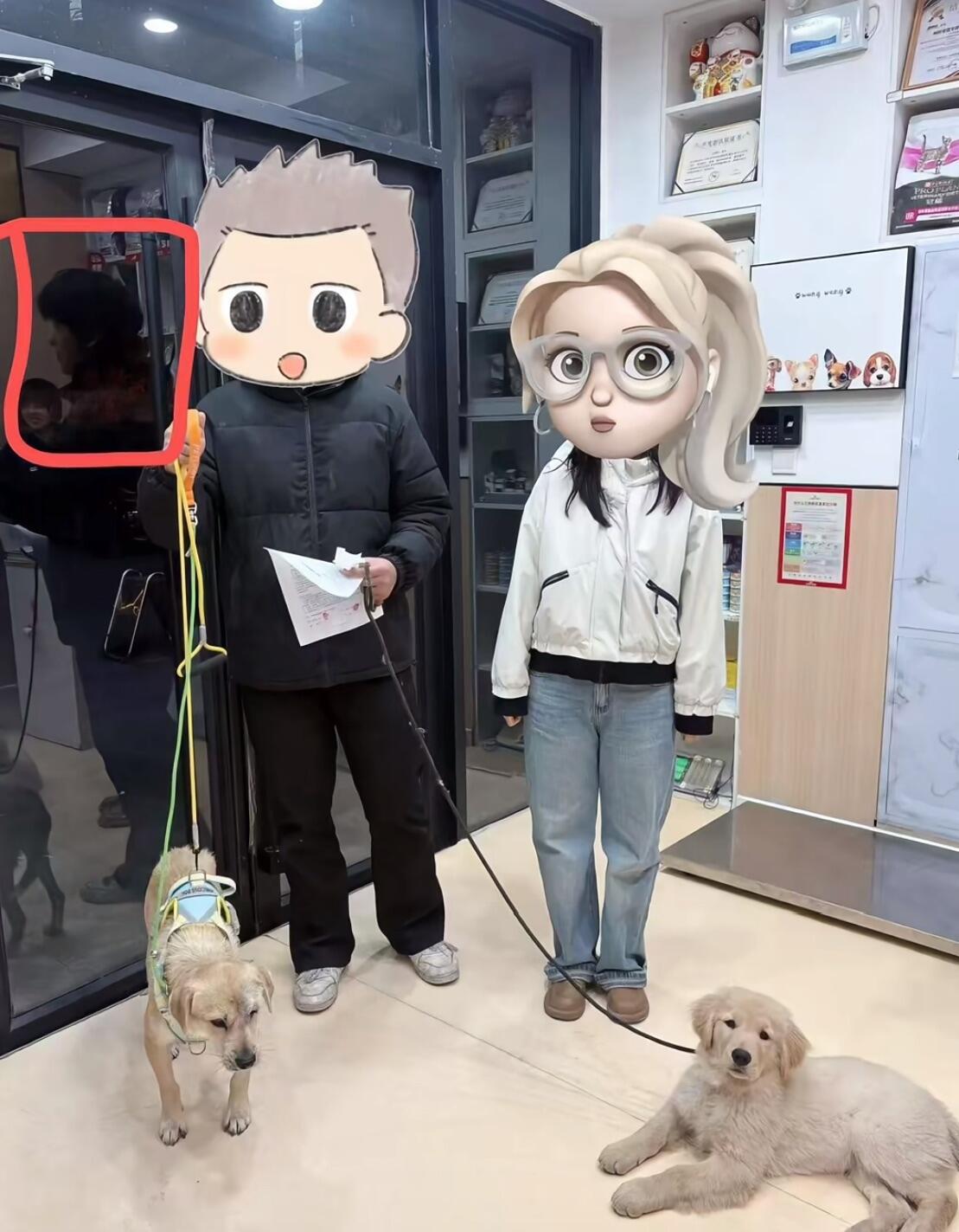 最近看到个事，真是让人又气又难过。有网友在网上爆料，一只被领养走的小狗，竟然被领