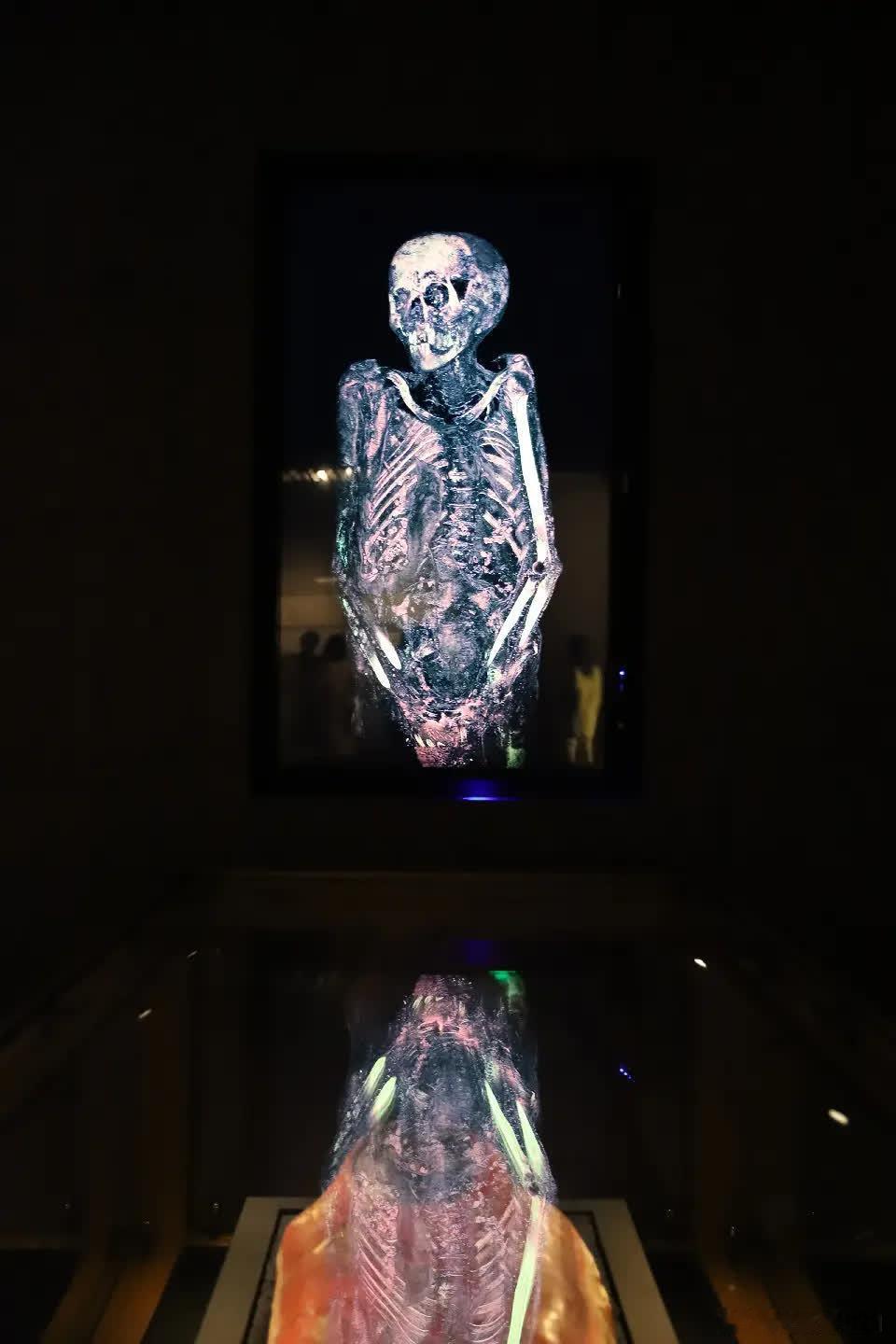【永恒的面孔:古埃及的黄金木乃伊】展期：2022年6月24日-9月11日展览地点