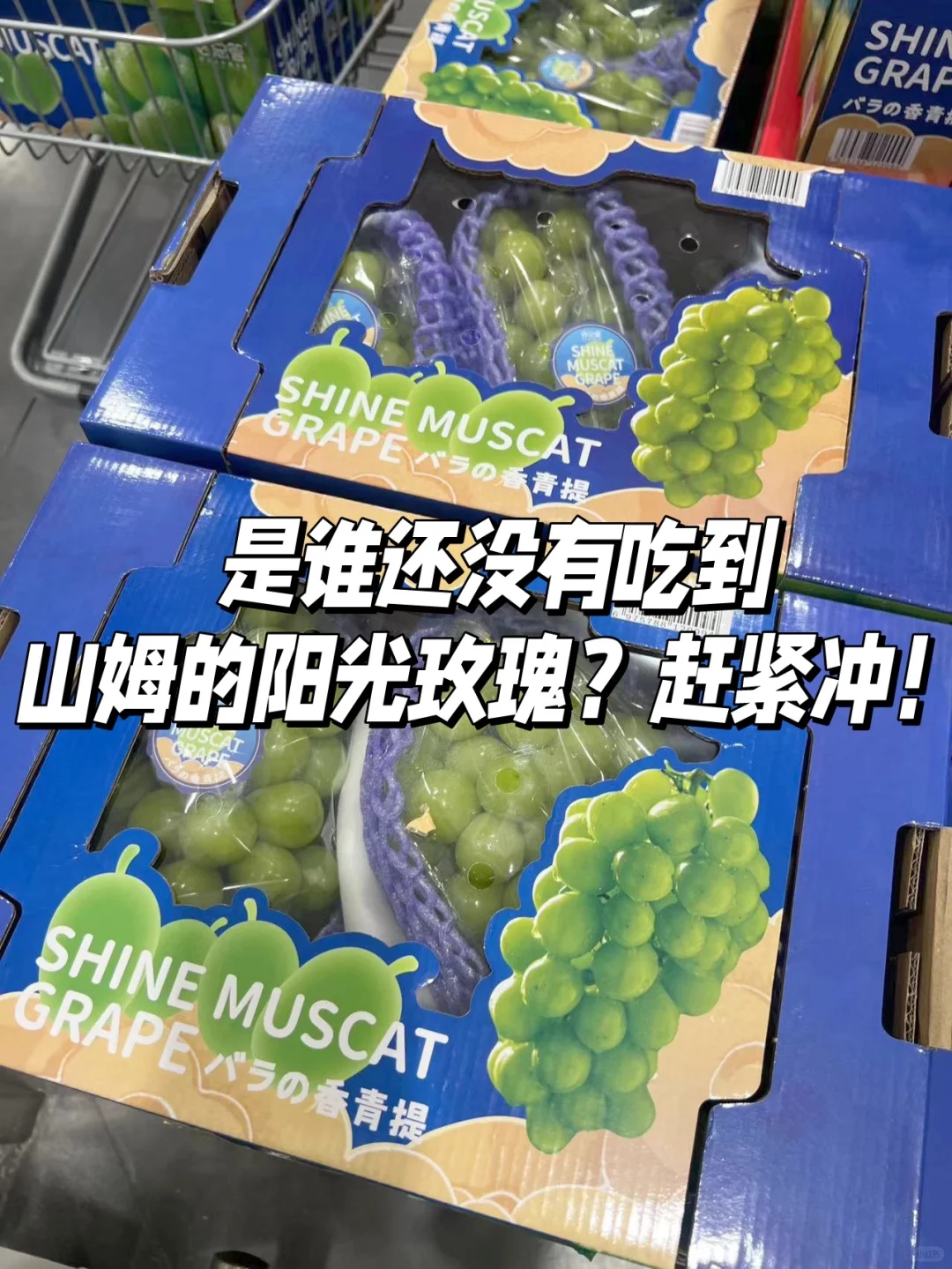 是谁还没有吃到山姆的阳光玫瑰？赶紧冲！