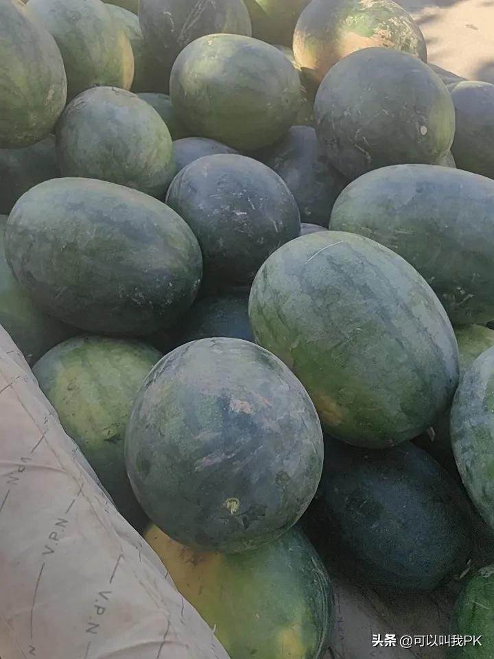 回不去的家乡。一个人在深圳打拼。小有小成。等，因为投资房地产赔的一干二净。几年时