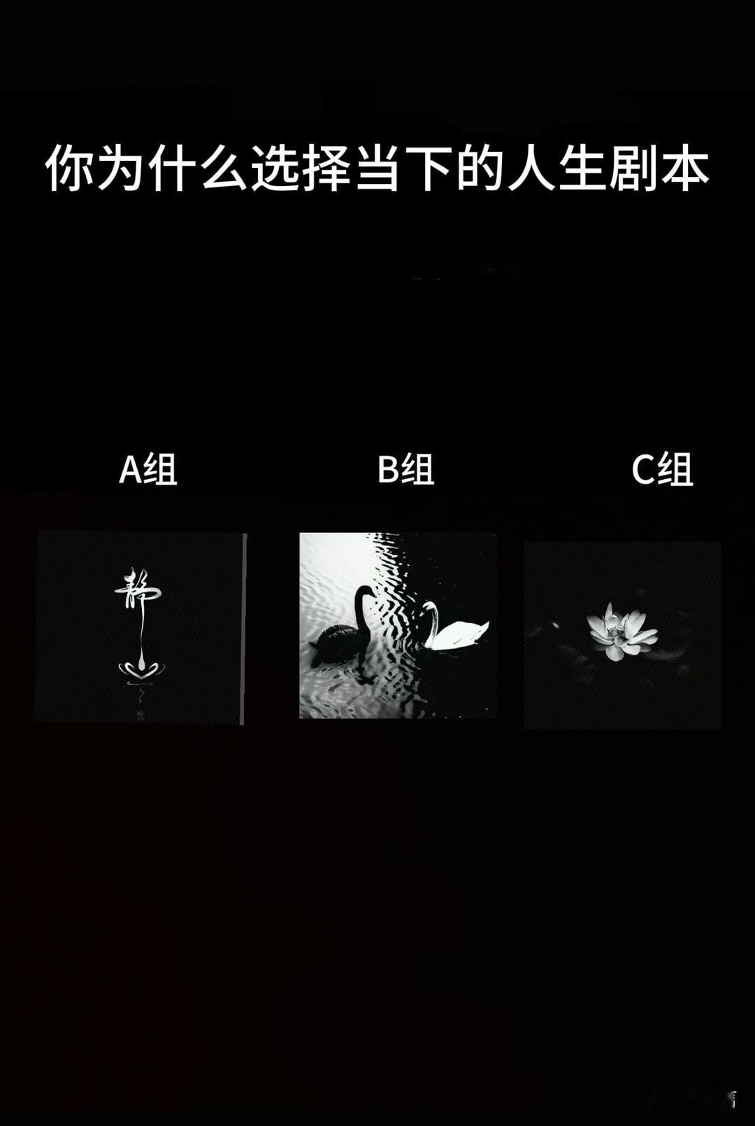 全域焕新