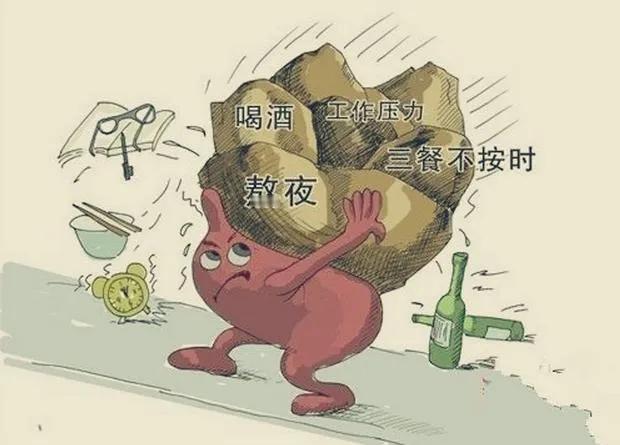 中年大修，主要不是进补，而是改变不良生活习惯

人的一生就是车的一样，但正常的车