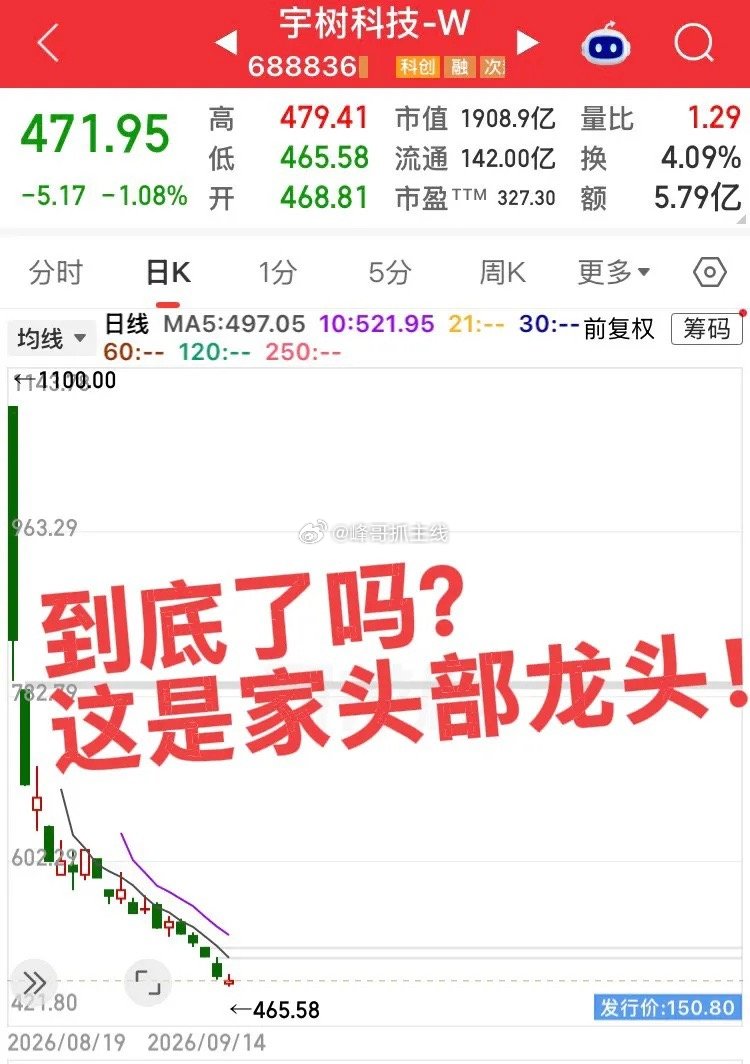 机器人领头羊宇树还在新低中！最高点1100元，目前472元，这还是一家盈利的头部