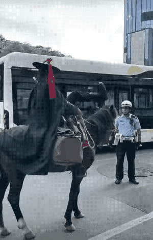 古代穿越到现代来了！开车上路需要驾驶证，骑马也要有骑马证吗？[捂脸][捂脸][捂