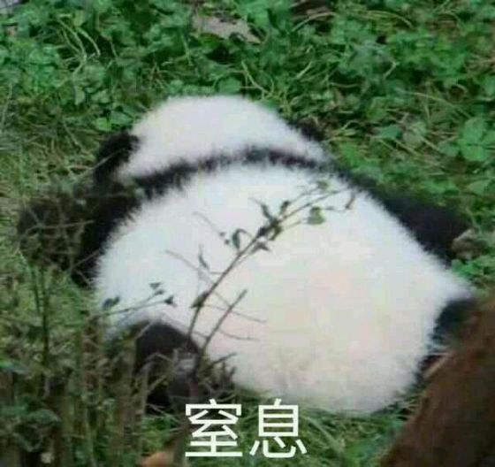 【治理污染能帮河湖喘口气】 提到缺氧，你想到的可能是自己爬楼梯上气不接下气。但河