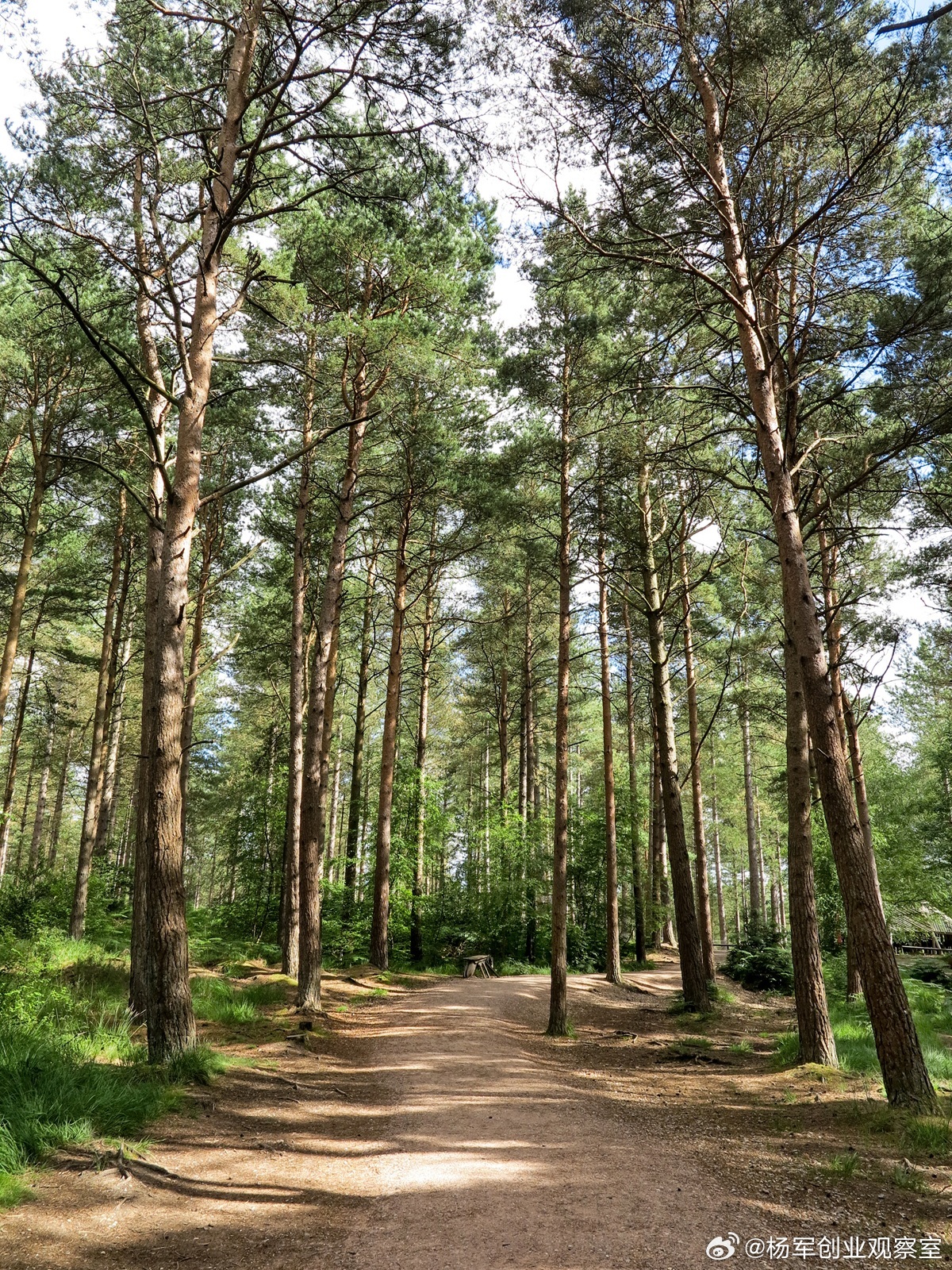 股份来源选不对，激励效果少一半 | 说透增资扩股做股权激励，股份从哪来？很多人第