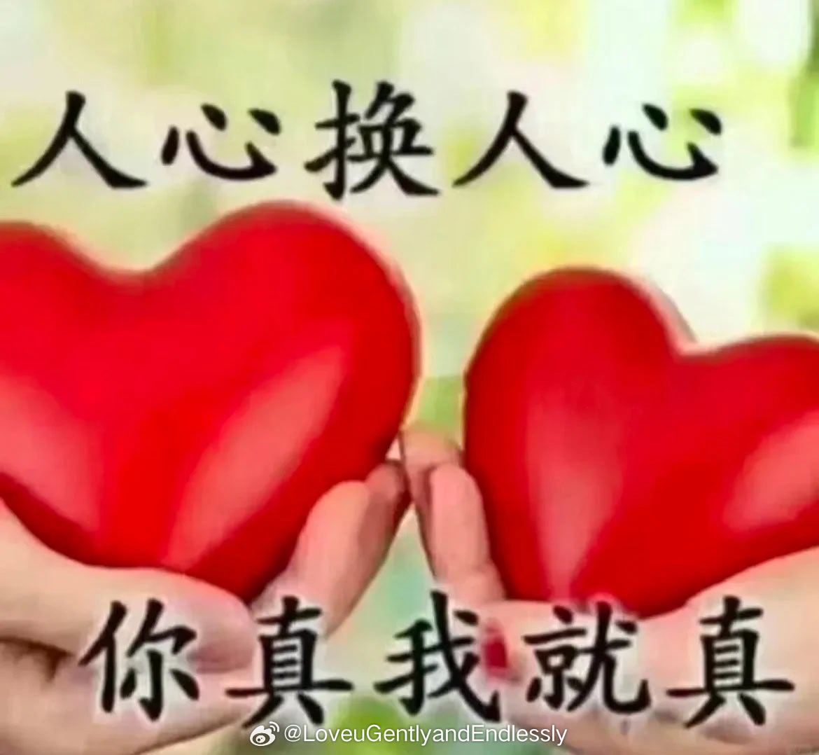 小狗艺术家在我俩的聊天框里一直说金句 
