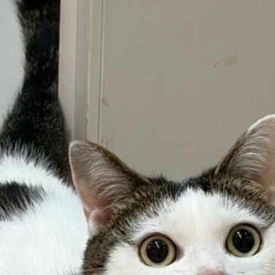 站那么挺拔是要干嘛！展示自己精心管理的完美身材吗？ 