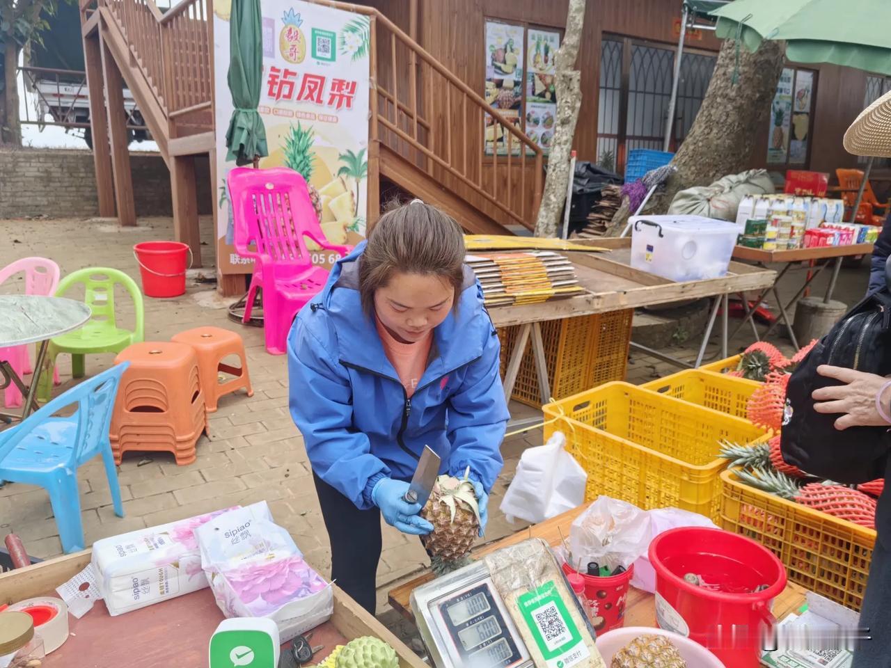 徐闻 菠萝  20250204我的旅行日记[原稿]
     乘网约车过徐闻县城