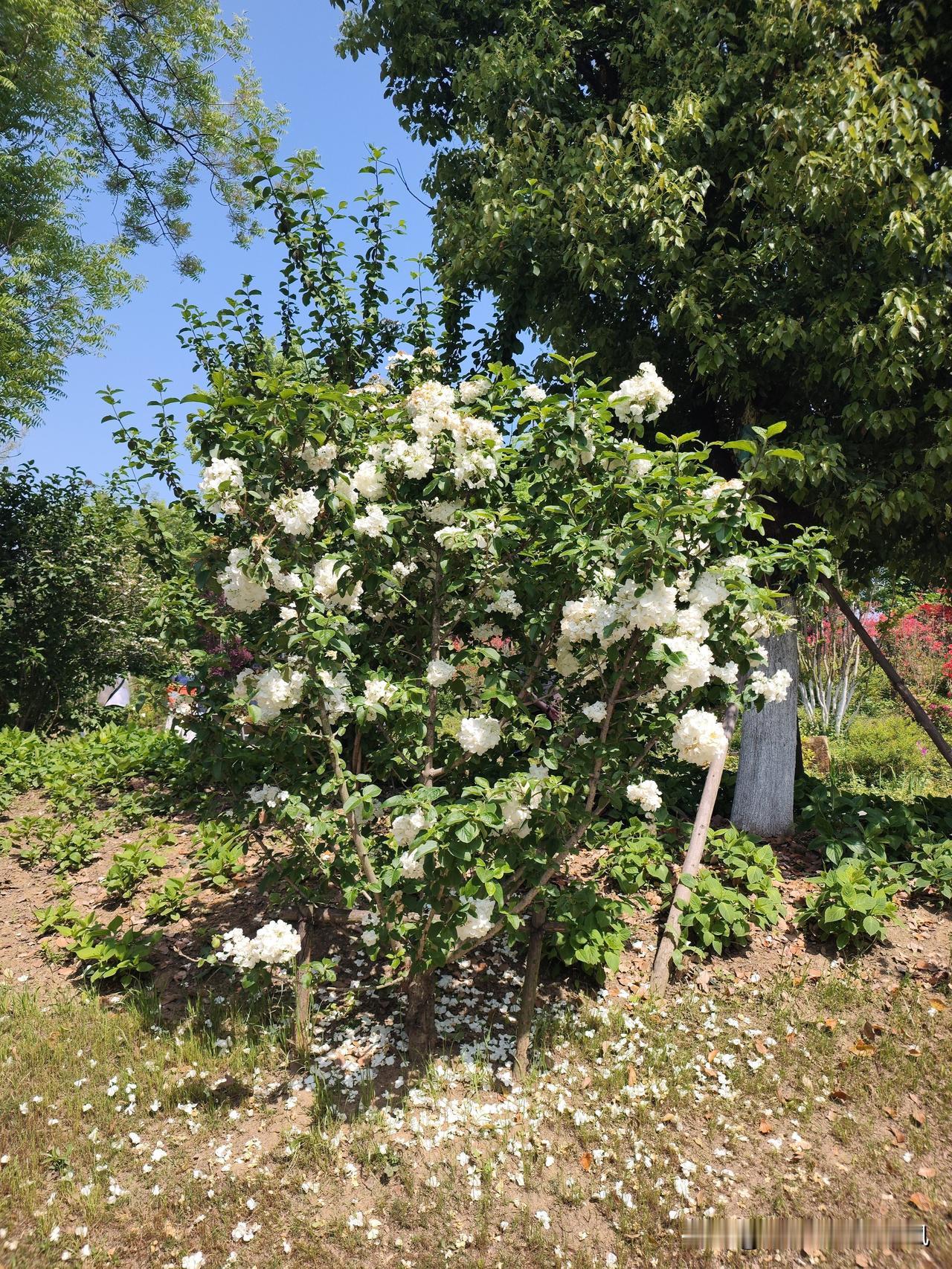 昨日，国盛证券因2026年Q1净利润仅146.87万元，同比暴跌97.91%，股