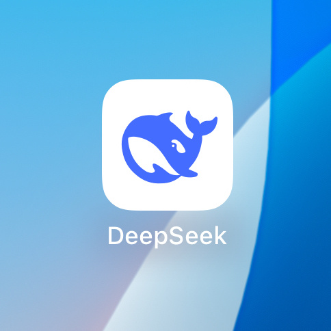 DeepSeek为什么火？更多是DeepSeek打破了美国AI大资本大投入的怪象